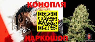 COCAINE Гай