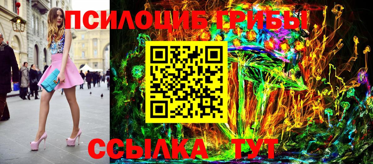 Камень-на-Оби  Псилоцибиновые грибы Cubensis  Вход с VPN 